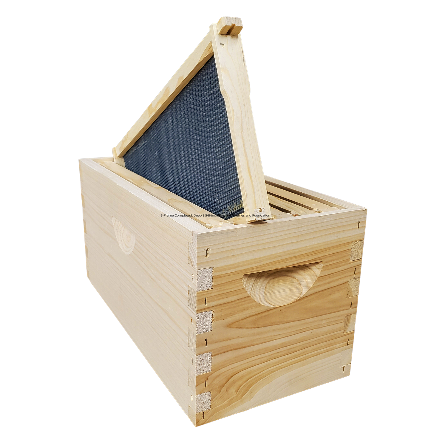 5-Frame Completed, Deep 9 5/8-inch Box with Frames and Foundation