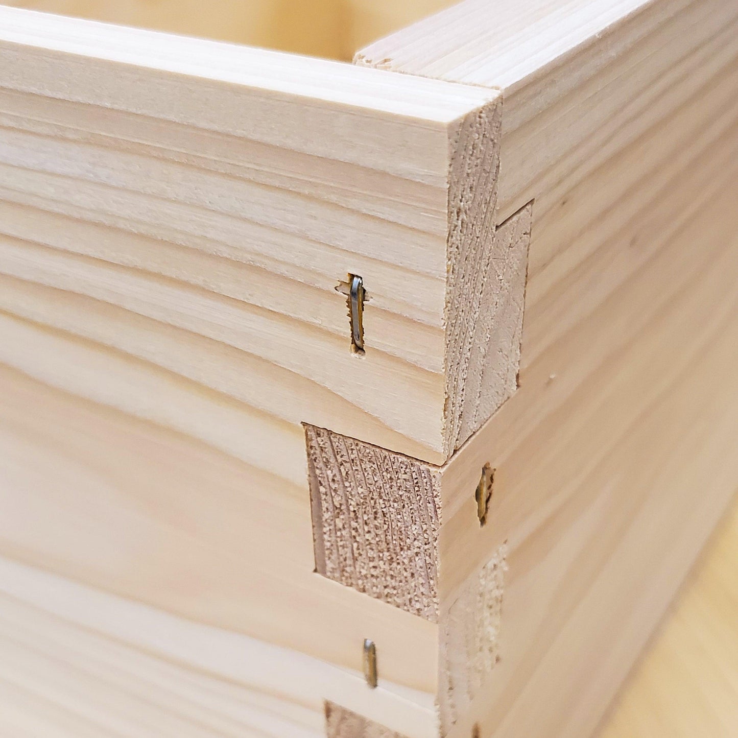 5-Frame Completed, Deep 9 5/8-inch Box with Frames and Foundation