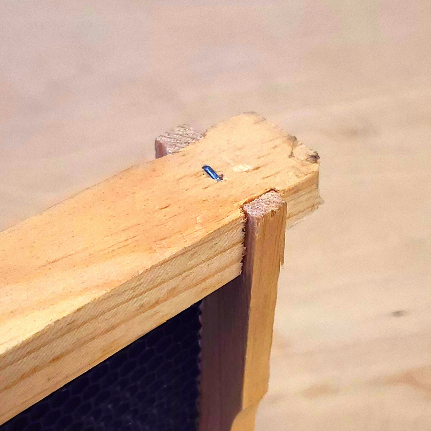 5-Frame Completed, Deep 9 5/8-inch Box with Frames and Foundation