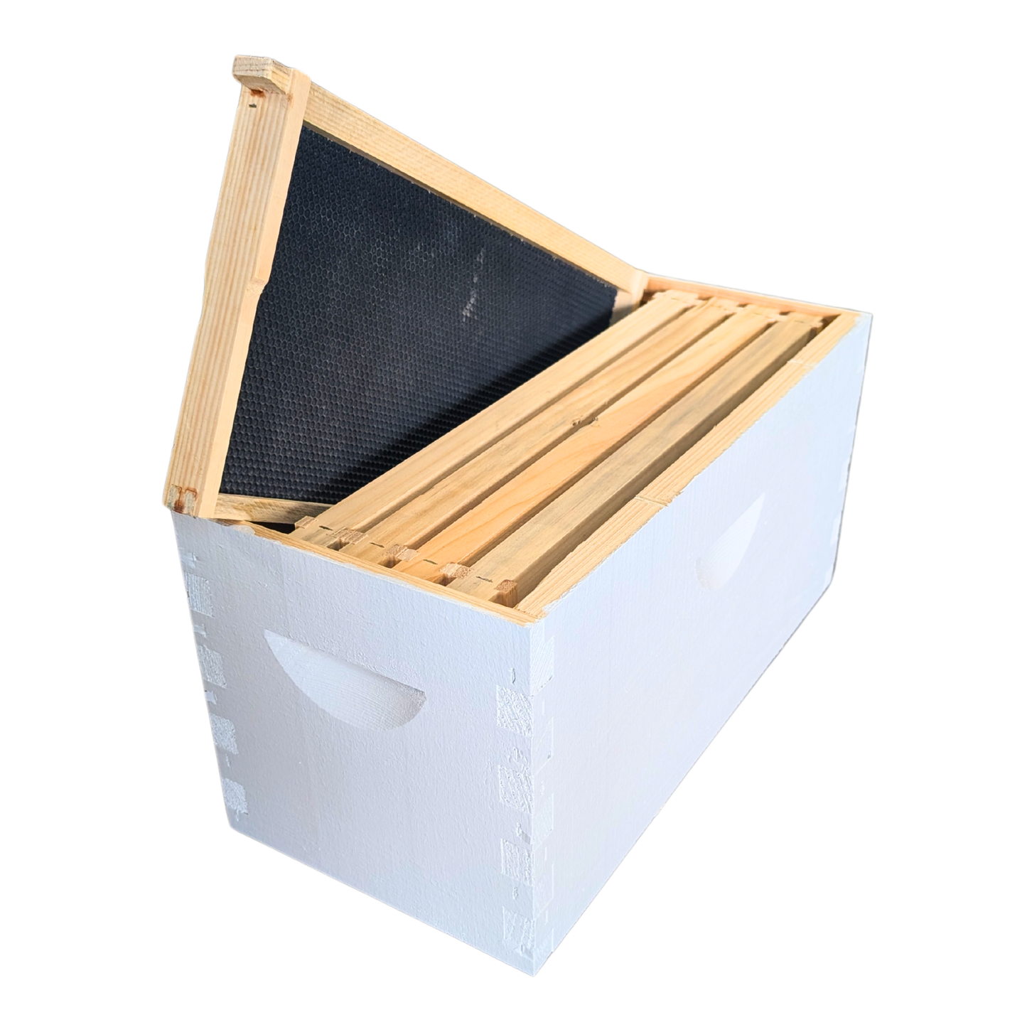 5-Frame Completed, Deep 9 5/8-inch Box with Frames and Foundation