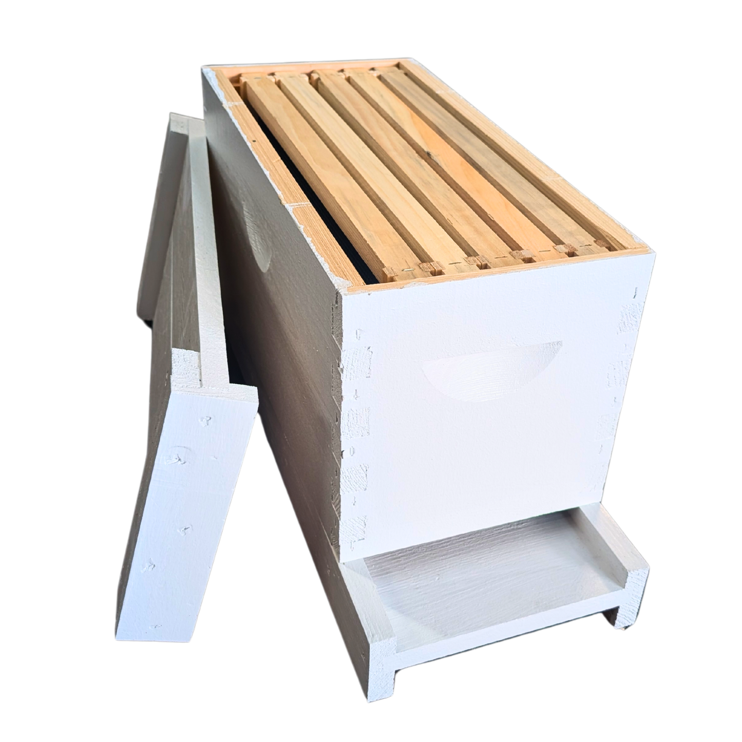 5-Frame Completed, Deep 9 5/8-inch Box with Frames and Foundation