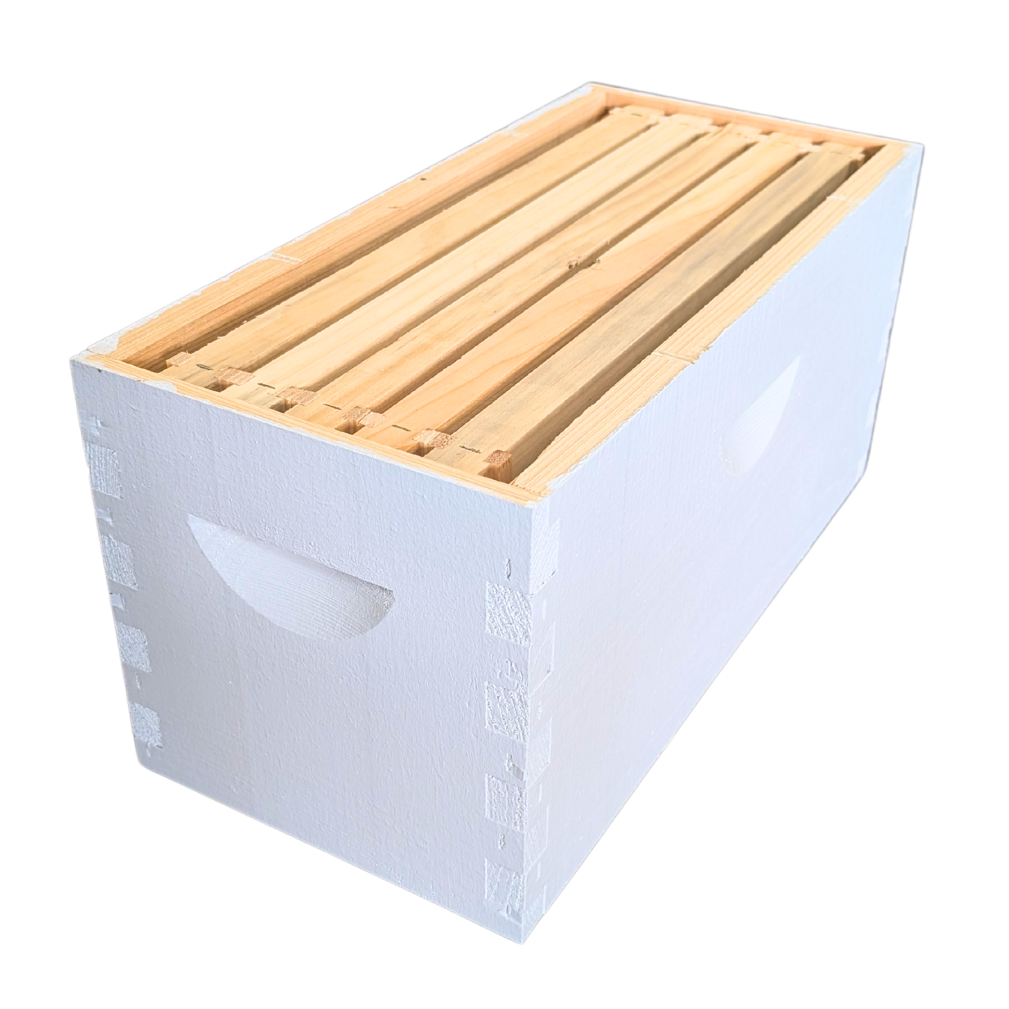 5-Frame Completed, Deep 9 5/8-inch Box with Frames and Foundation