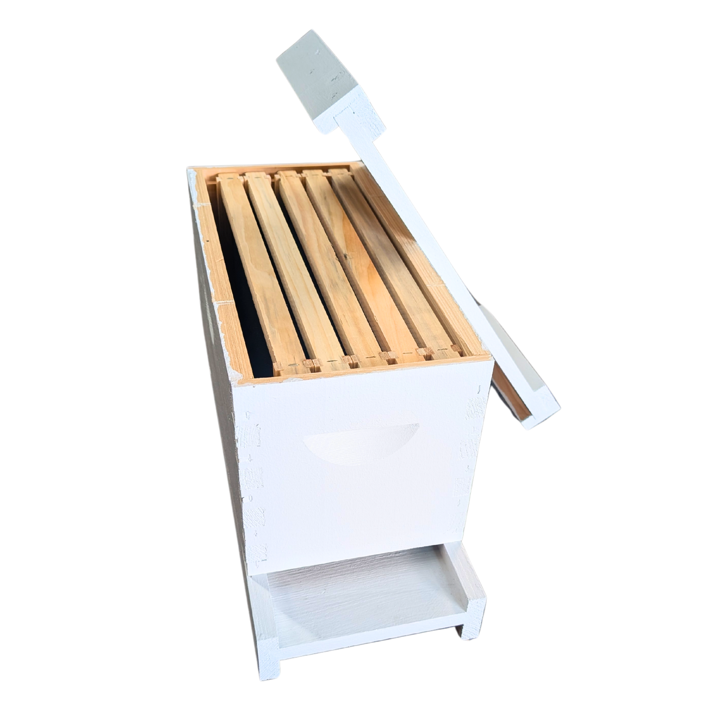 5-Frame Completed, Deep 9 5/8-inch Box with Frames and Foundation