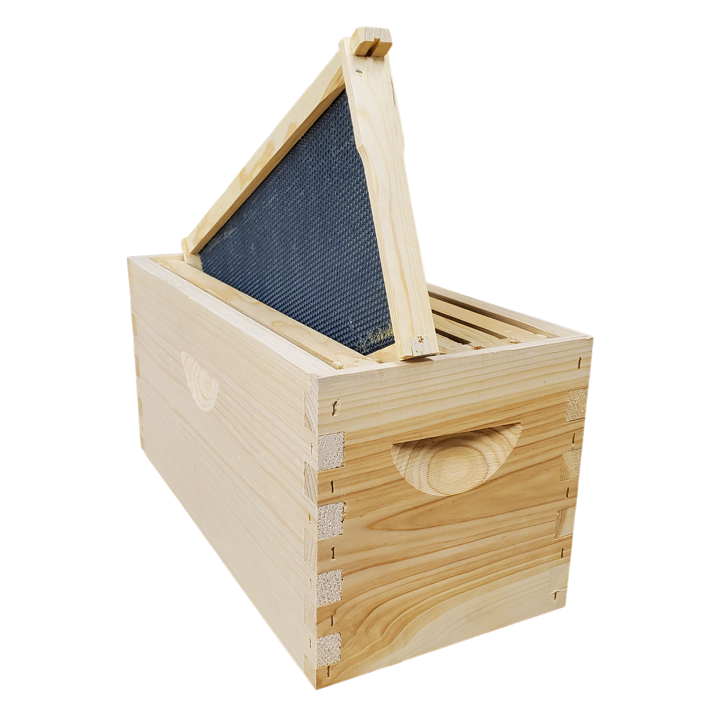 5-Frame Completed, Deep 9 5/8-inch Box with Frames and Foundation